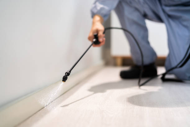 Licensed Pest Control service in Calhoun County County, MS - Nex Pest Control