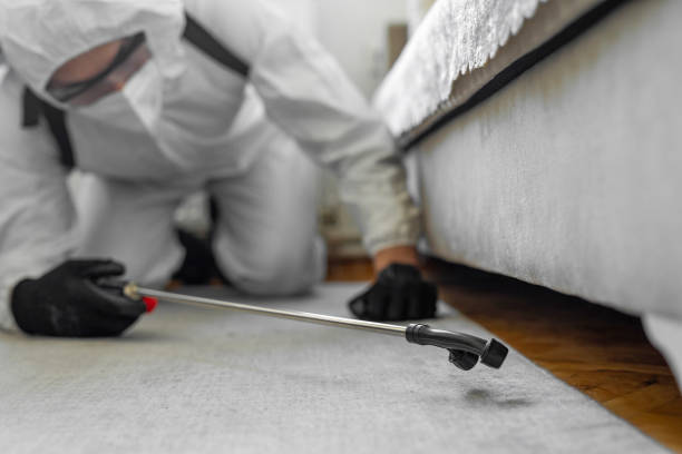Professional Pest Control technician working in Calhoun County County, MS